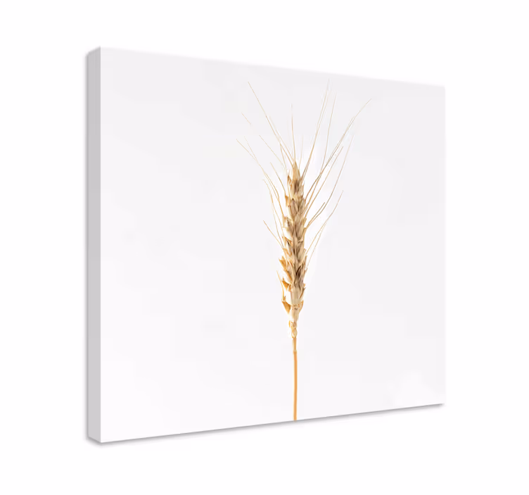 Cuadro cocina plantas Espigas - TenVinilo