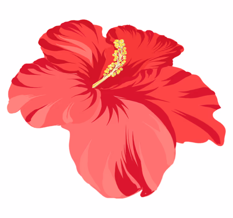 Alfombra vinílica flores kit de flores hibisco rojo - TenVinilo