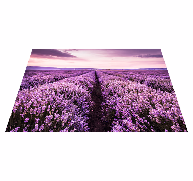 Alfombra vinílica morada flores de lavanda en provenza - TenVinilo
