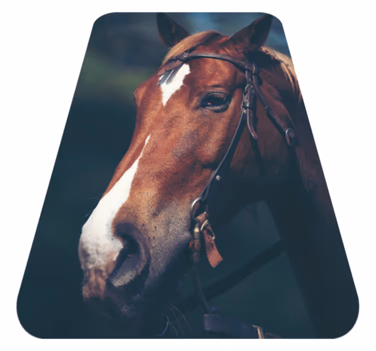 Alfombra vinílica animales majestuosa cabeza de caballo - TenVinilo