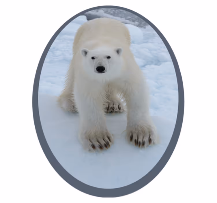 Alfombra vinílica animales imagen del oso polar - TenVinilo