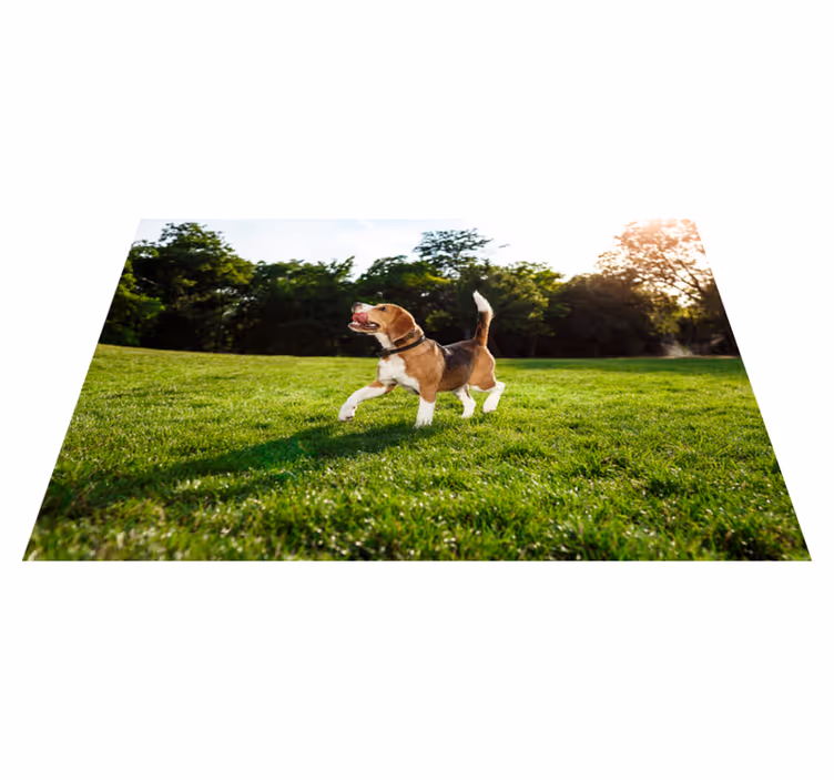 Alfombra vinílica animales beagle feliz corriendo - TenVinilo