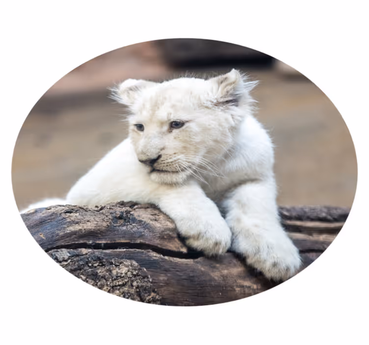 Alfombra vinílica animales león blanco - TenVinilo