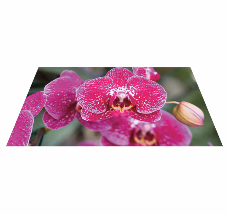 Alfombra vinílica flores brillantes flores de orquídeas - TenVinilo