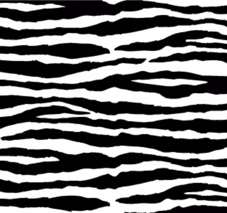 Papel pintado animal rayas de cebra - TenVinilo