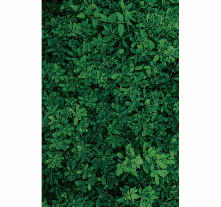 Papel pintado naturaleza verde profundo - TenVinilo