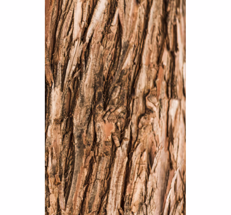 Papel pintado salón corteza de árbol - TenVinilo