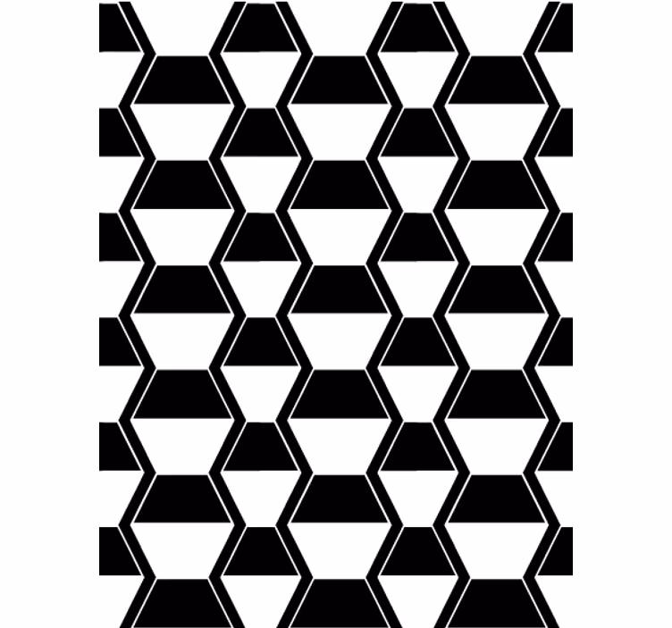 Papel pintado salón hexágonos en blanco y negro - TenVinilo