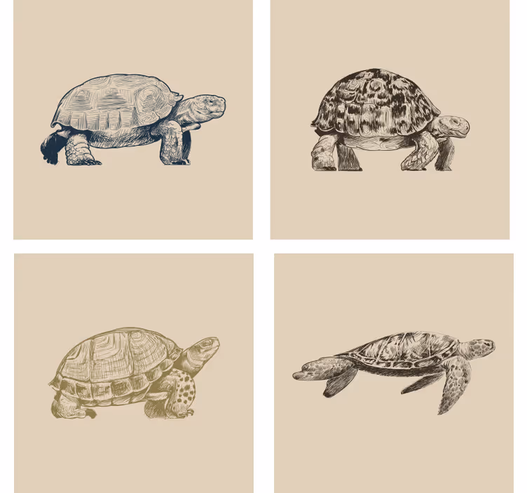 Papel pintado retro tortugas sobre fondo beige - TenVinilo