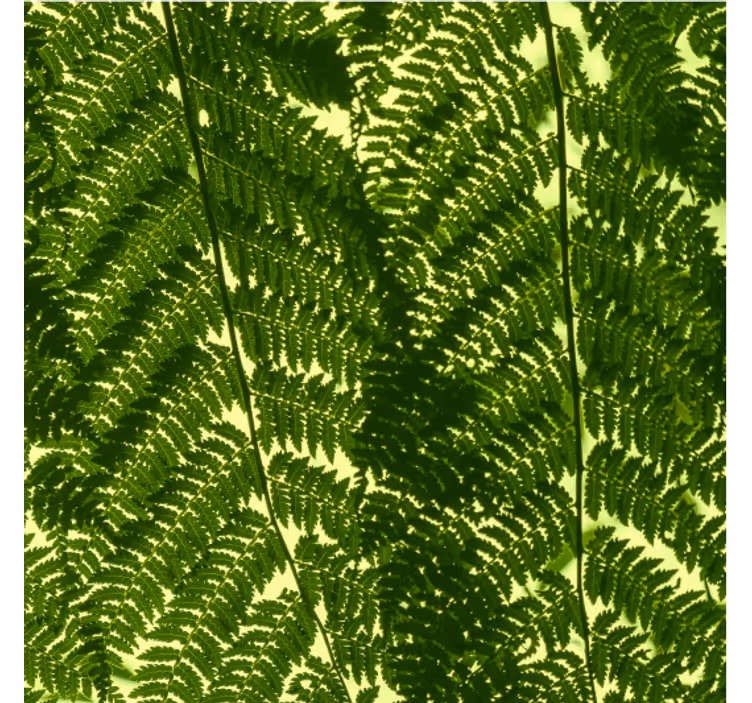 Papel pintado nórdico planta helecho verde - TenVinilo