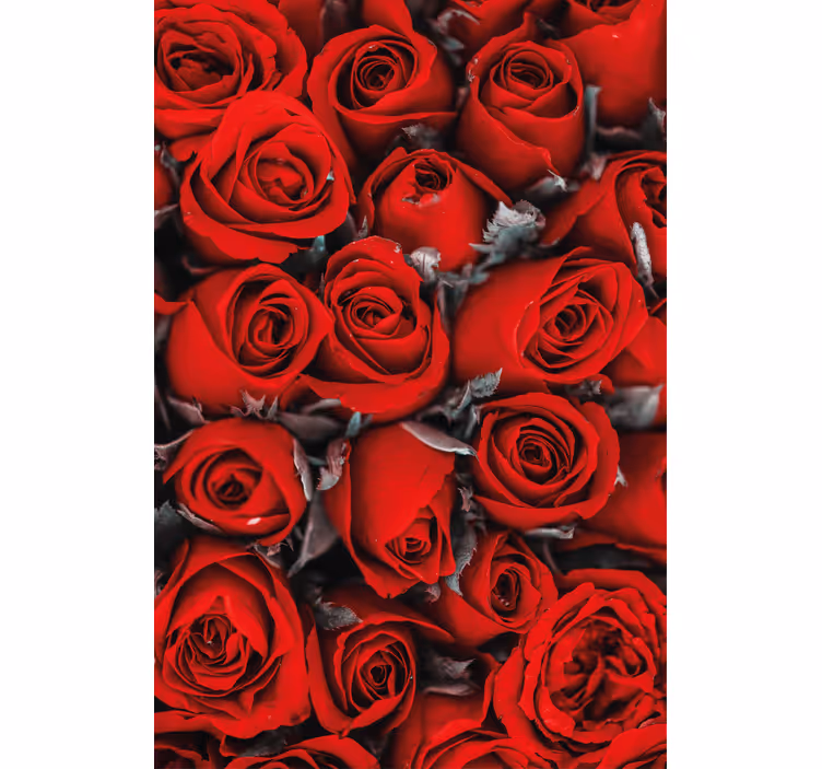Papel pintado flores rosas rojas románticas - TenVinilo