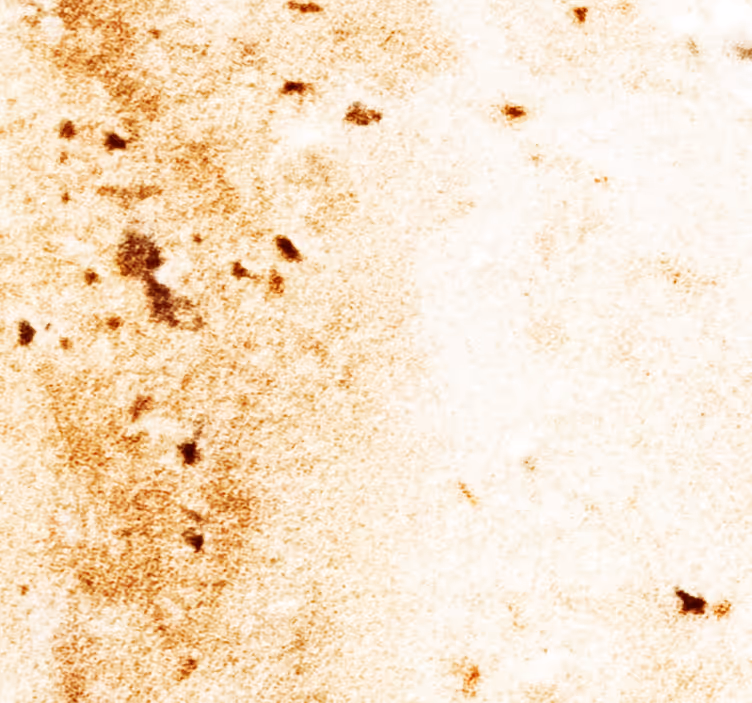 Papel pintado mármol estética de piedra natural - TenVinilo