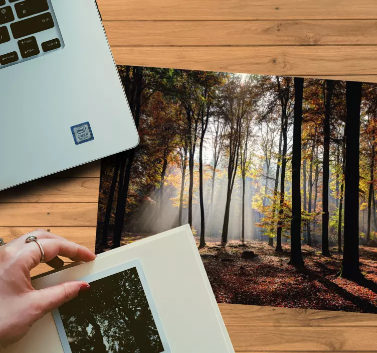 Alfombrilla ratón original escena de bosque sereno - TenVinilo
