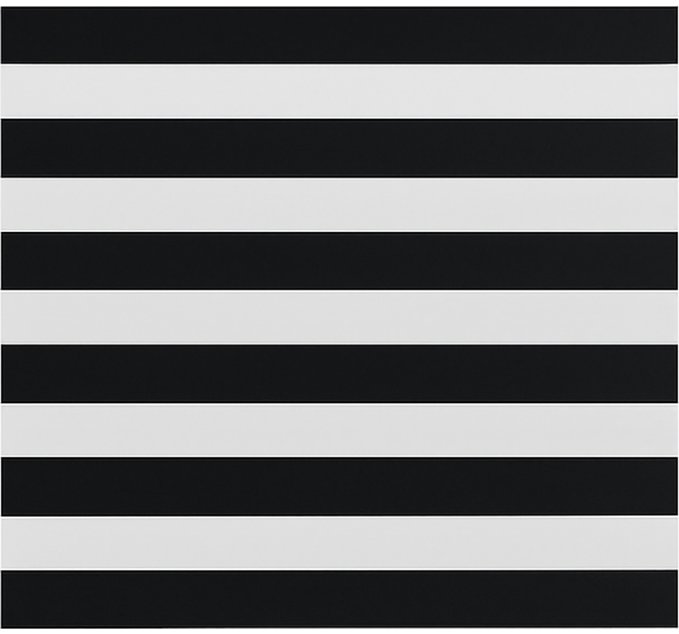 Estor enrollable comedor negro y transparente despojado - TenVinilo