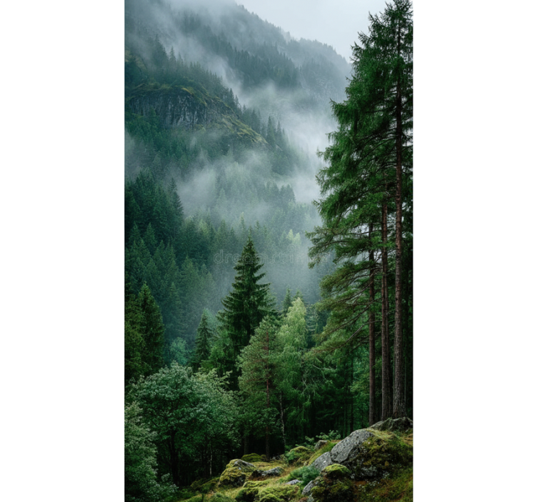 Estor enrollable árboles la elección melancólica - TenVinilo