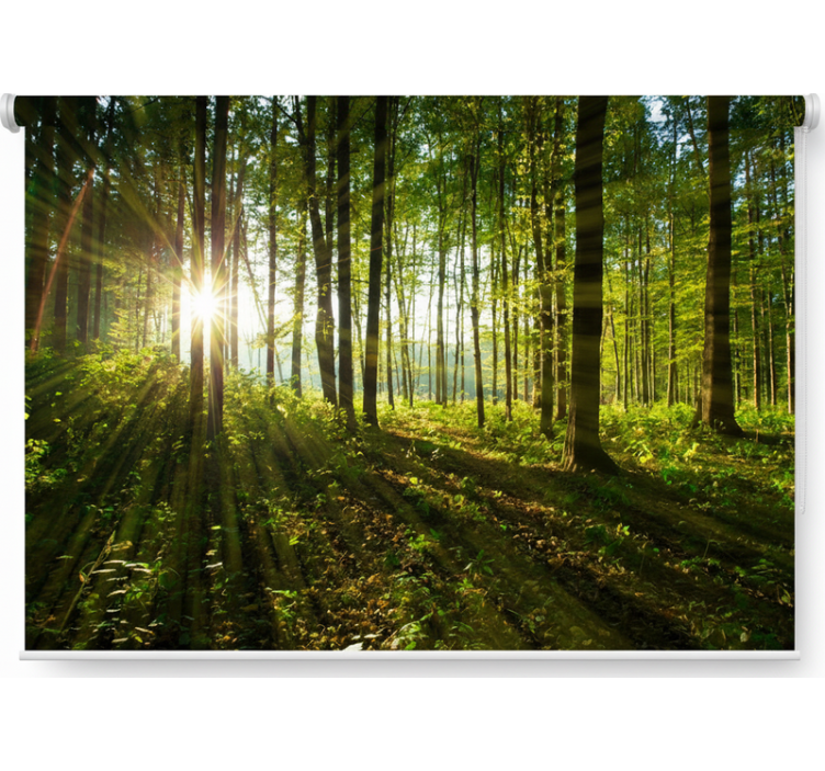 Estor enrollable árboles bosques del sol dorado - TenVinilo