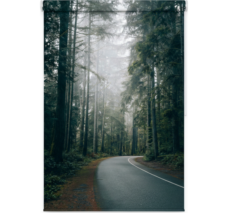 Estor enrollable árboles camino de pinos nebulosos - TenVinilo