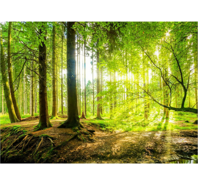 Estor enrollable árboles valle montañoso frondoso - TenVinilo