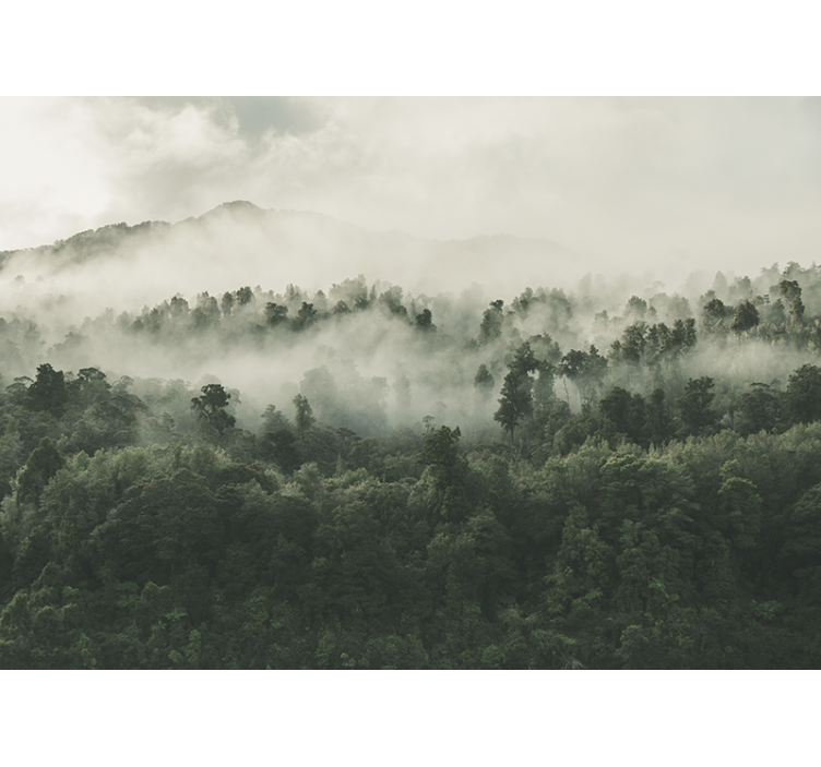 Estor enrollable cocina bosque con niebla desde arriba - TenVinilo