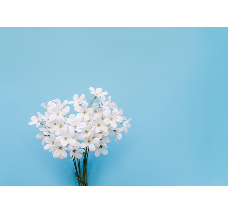 Estor enrollable cocina fondo azul jazmín - TenVinilo