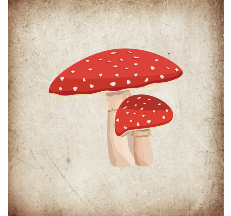 Estor enrollable cocina ilustración de hongo amanita - TenVinilo