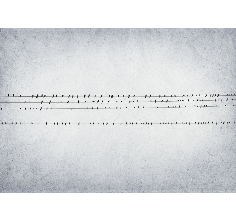 Estor enrollable blanco concierto de aves en cuerdas - TenVinilo