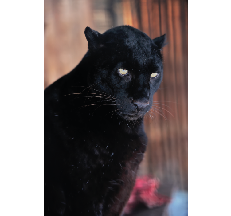 Estor enrollable salón leopardo acechando - TenVinilo