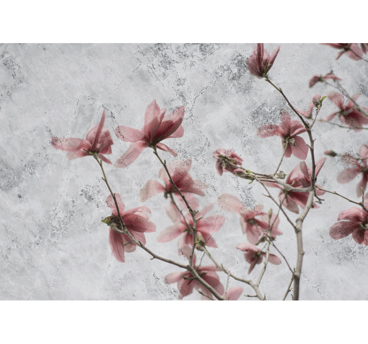 Estor enrollable salón diseño magnolia elegante glamour - TenVinilo