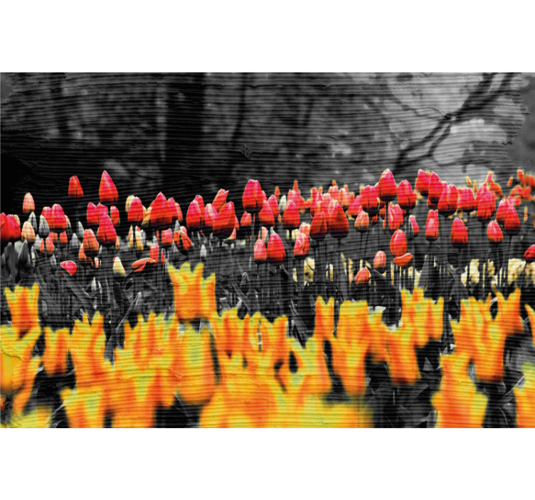 Estor enrollable salón campos de flores diferentes - TenVinilo