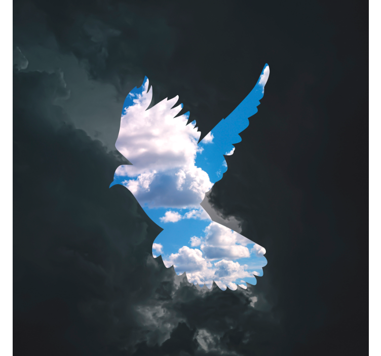 Estor enrollable salón paloma de rené magritte - TenVinilo