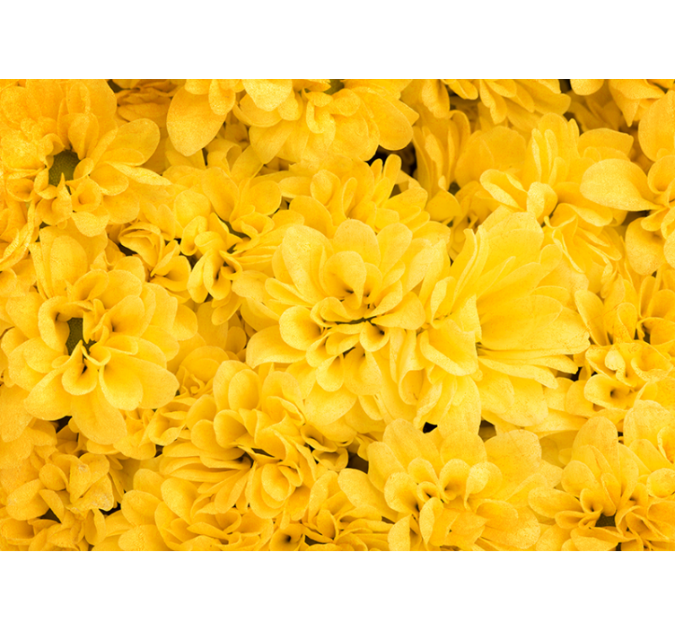 Estor enrollable amarillo pétalos de flores - TenVinilo