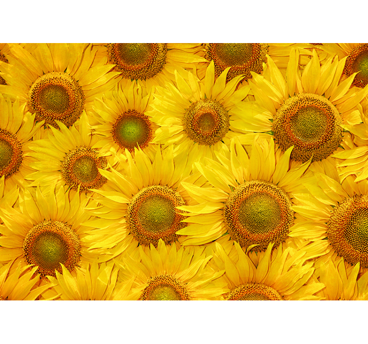 Estor enrollable amarillo girasoles - TenVinilo