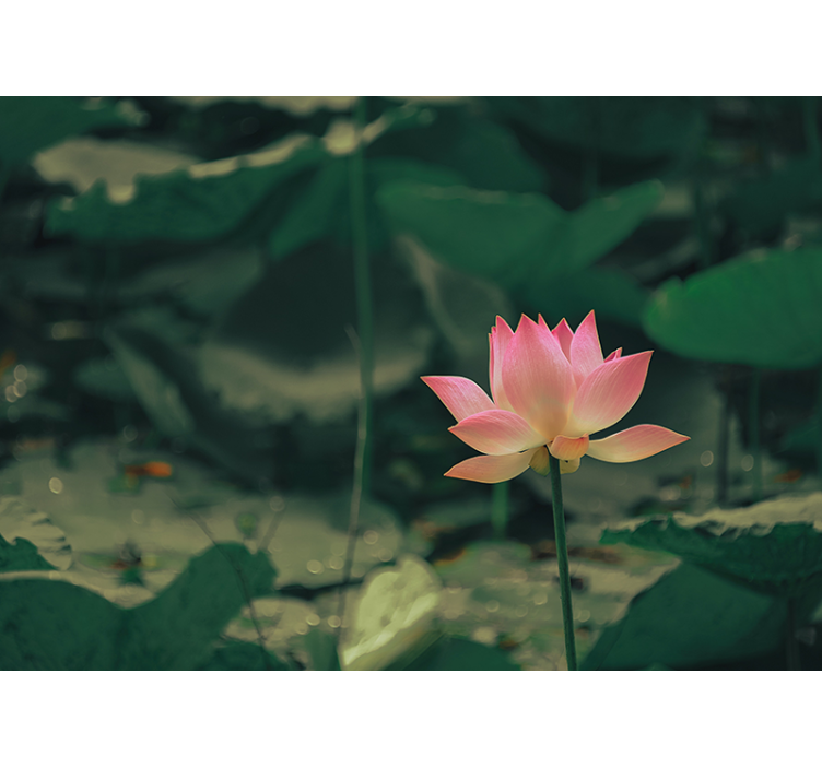 Estor enrollable verde flor rosa - TenVinilo