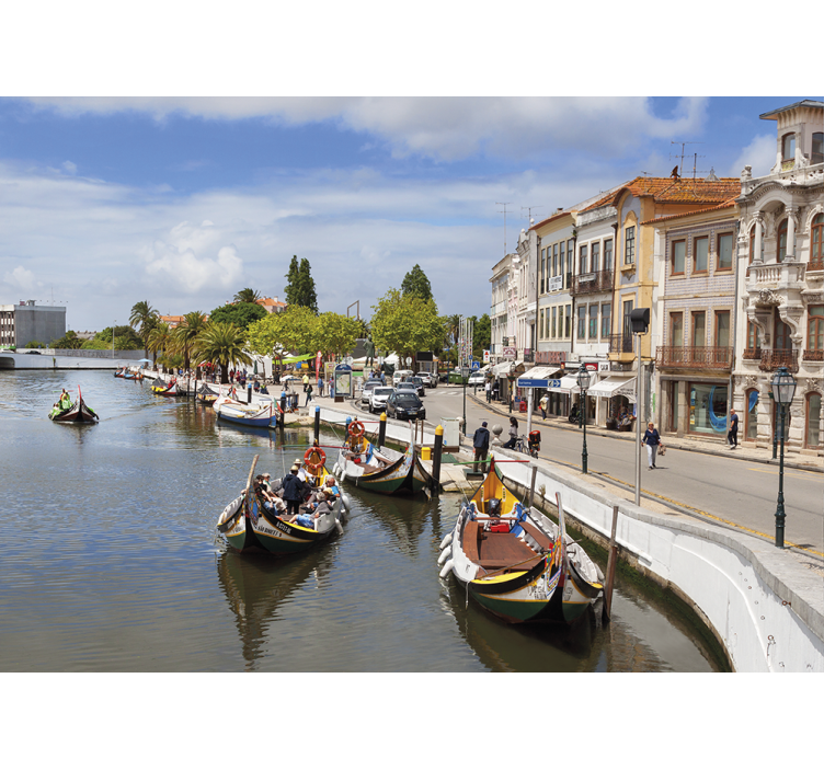 Estor enrollable salón aveiro moliçeiro - TenVinilo