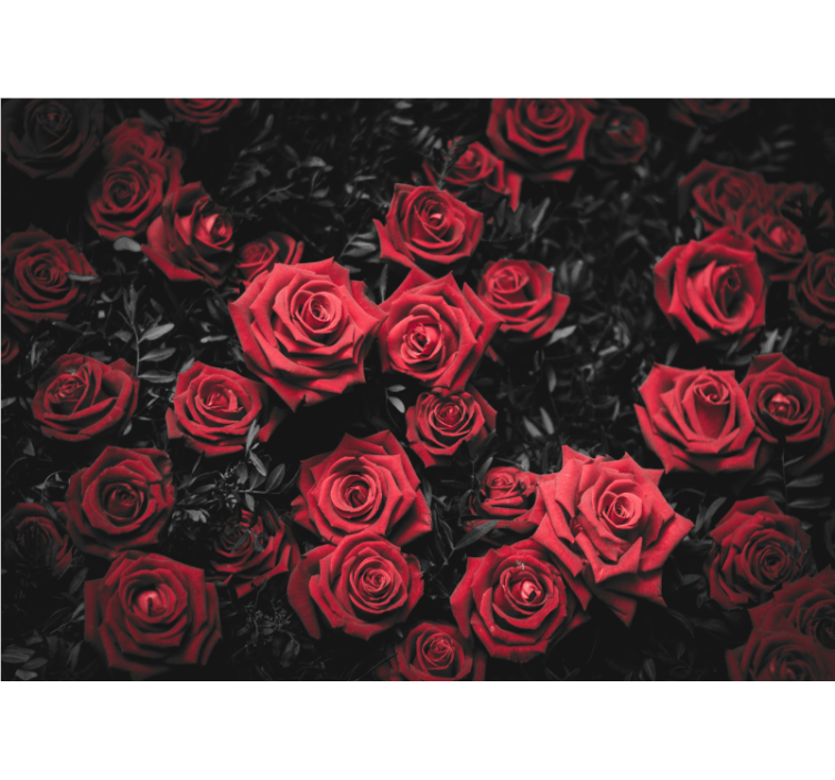 Estor enrollable salón blanco y negro con rosas rojas - TenVinilo