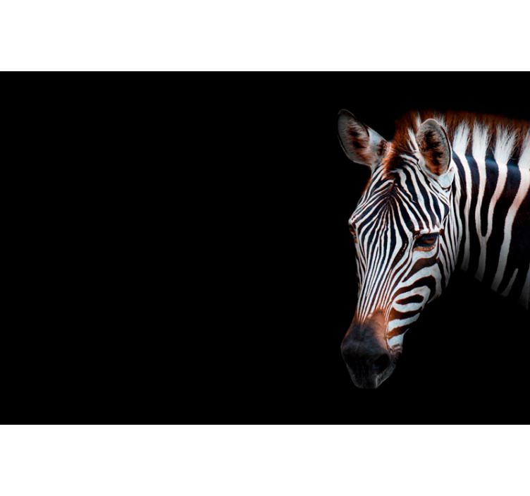 Estor enrollable salón zebra imagen - TenVinilo
