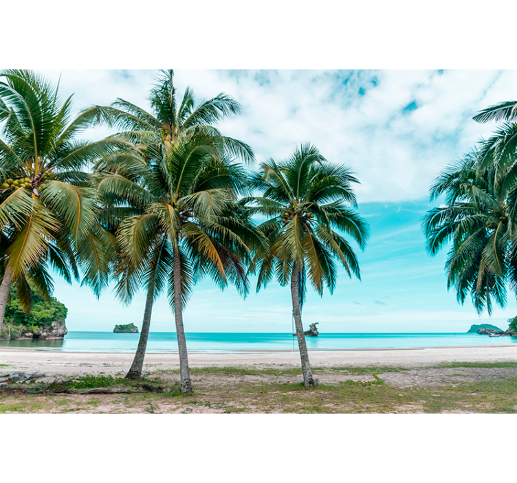 Estor enrollable salón palmeras playa arena - TenVinilo