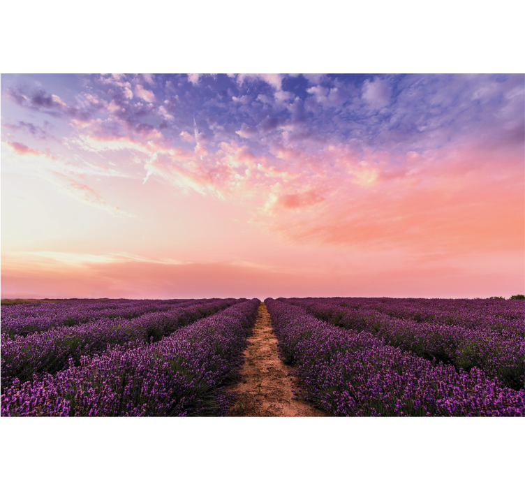 Estor enrollable salón flores de lavanda en francia - TenVinilo