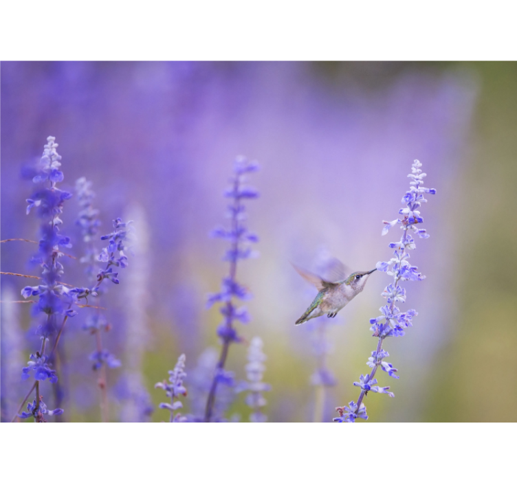 Estor enrollable salón flores con pájaro - TenVinilo