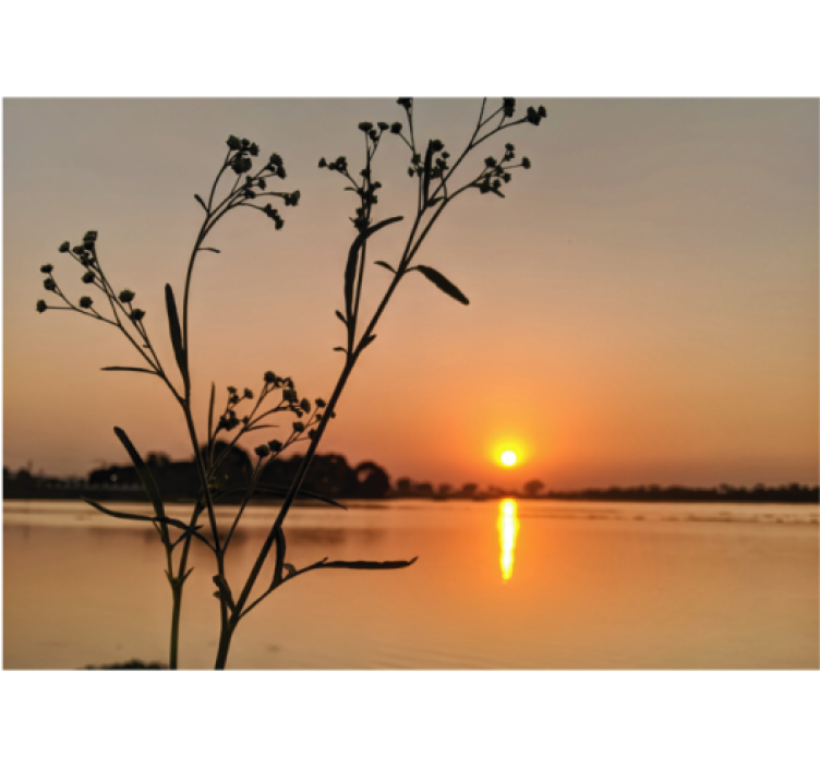 Estor enrollable salón atardecer en el lago - TenVinilo