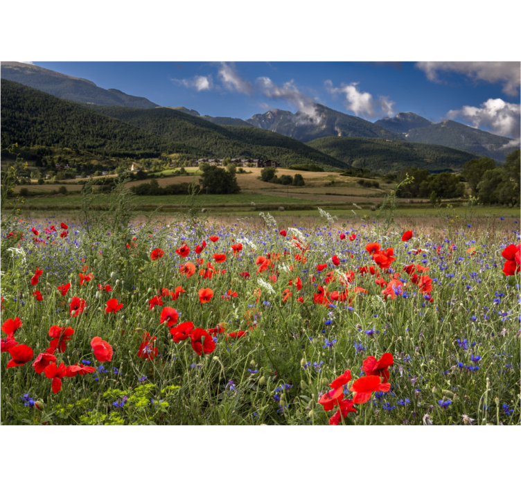 Estor enrollable salón campo de flores silvestres - TenVinilo
