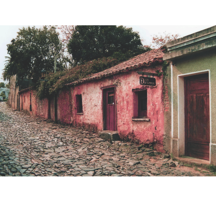 Estor enrollable salón calles de colonia - TenVinilo