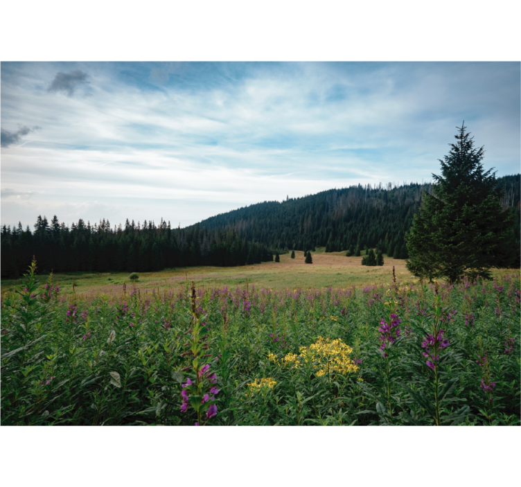 Estor enrollable salón parque tatra en primavera - TenVinilo