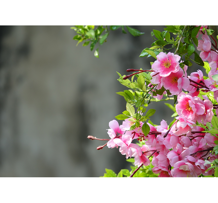 Estor enrollable salón flores rosas 3d - TenVinilo