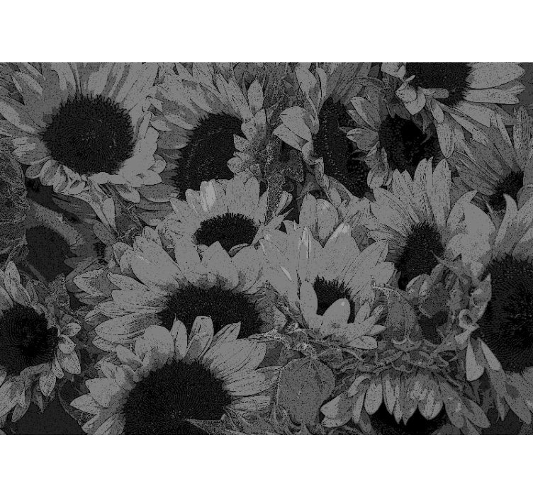 Estor enrollable salón girasol blanco y negro - TenVinilo