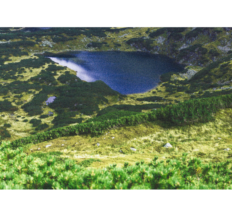 Estor enrollable salón verde tatras polacos - TenVinilo