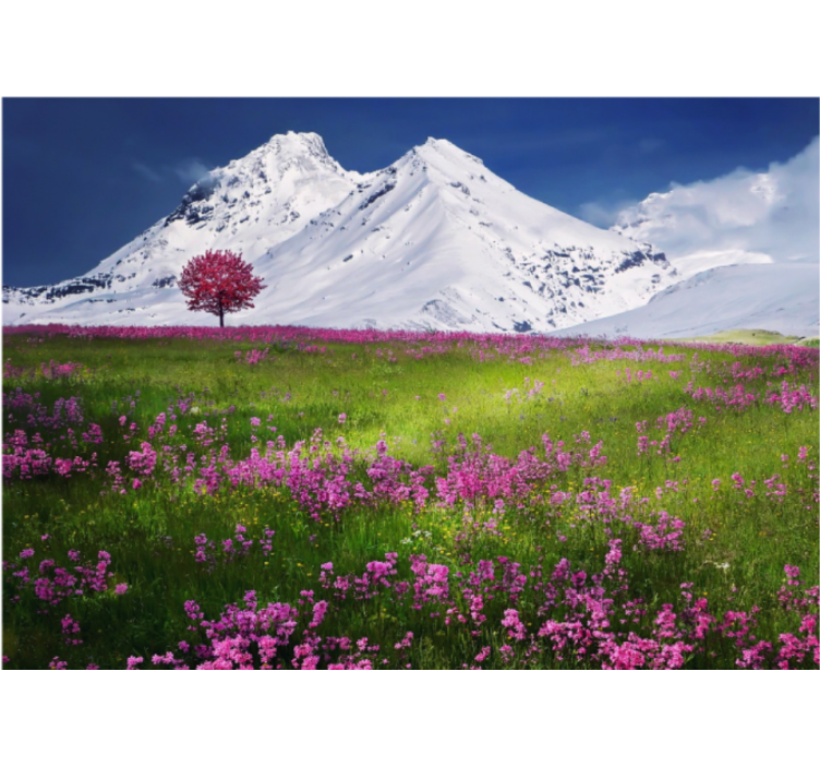 Estor enrollable salón paisaje de flores en montañas - TenVinilo