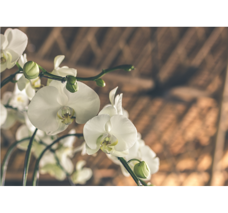 Estor enrollable salón orquídea blanca estructurada - TenVinilo