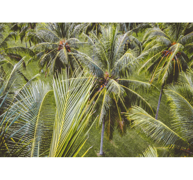 Estor enrollable salón paisaje de selva con palmeras - TenVinilo