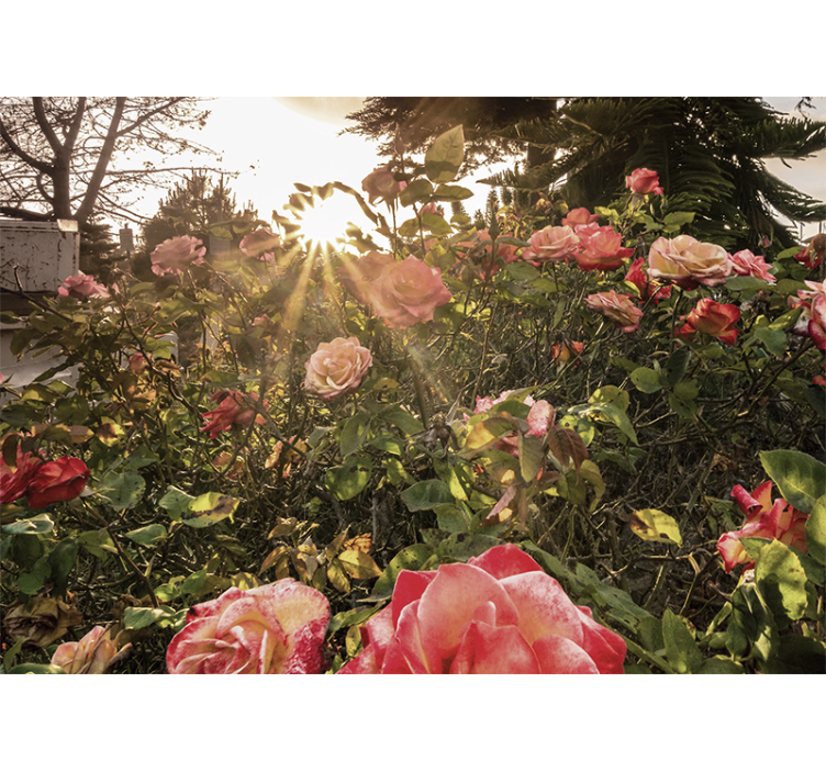 Estor enrollable salón flores cottagecore atardecer - TenVinilo